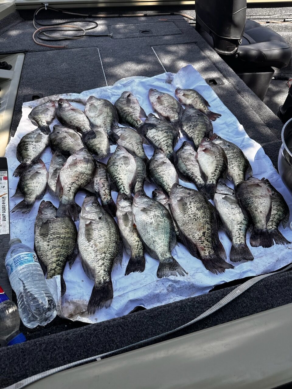 A limit of Oologah Lake crappie laid out across a boat deck