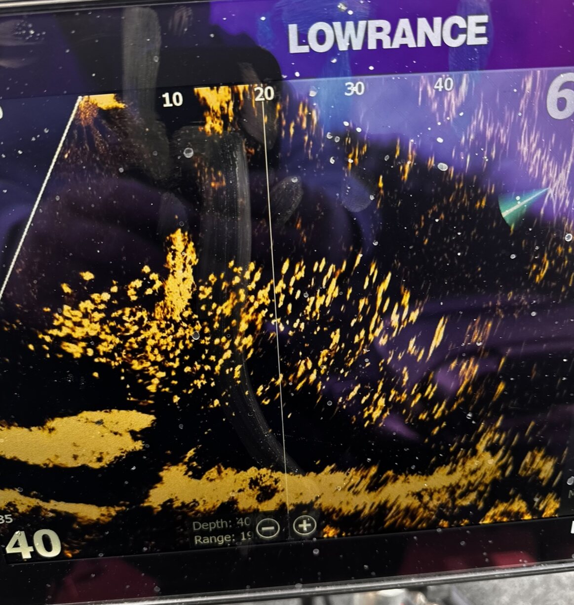 Lowrance live sonar screen marking a school of crappie in a brush pile