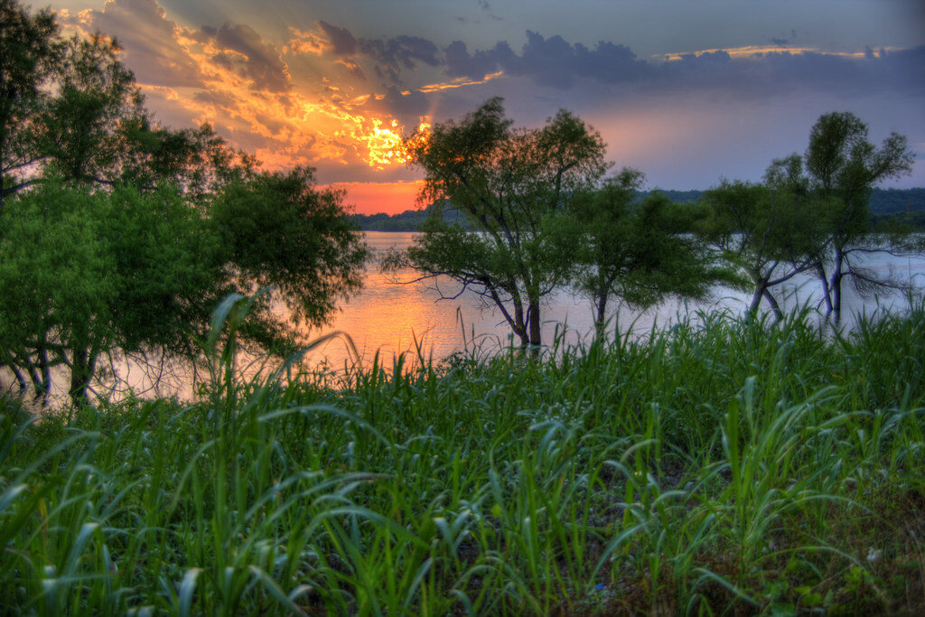 Sunset through shoreline willows at Blue Creek Park, Oologah Lake